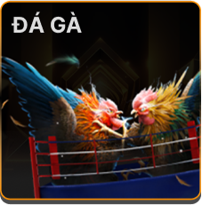 da ga e39